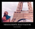 /album/fenykepgaleria/images-2-jpg/